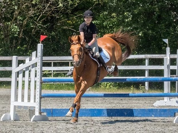 vancouver-horseback-riding-lessons