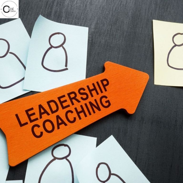 programme-de-leadership-et-coaching-pour-professionnels-big-0