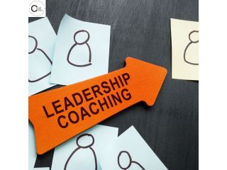 programme-de-leadership-et-coaching-pour-professionnels-small-0