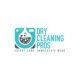 dry-cleaning-dry-cleaning-pros-big-0