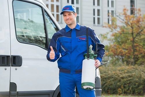 reliable-surrey-pest-control-services-for-homes-and-businesses-big-0
