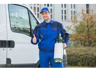 effective-pest-control-in-abbotsford-to-protect-your-property-small-0