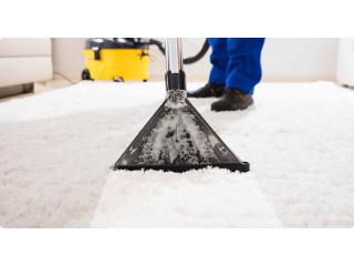 st-albert-carpet-cleaning-small-1