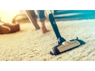 st-albert-carpet-cleaning-small-2