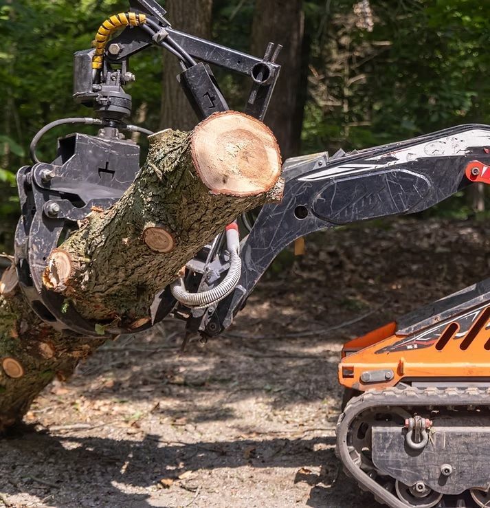 professional-tree-service-burnaby-bc-expert-tree-care-removal-big-0