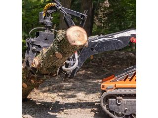 professional-tree-service-burnaby-bc-expert-tree-care-removal-small-0