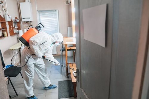 expert-abbotsford-cockroach-removal-services-for-a-clean-home-big-0