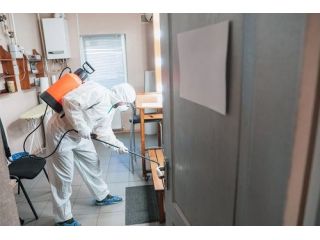 expert-abbotsford-cockroach-removal-services-for-a-clean-home-small-0