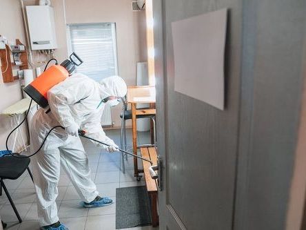 expert-abbotsford-cockroach-removal-services-for-a-clean-home