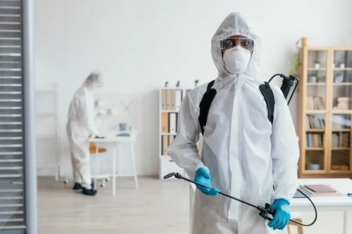 reliable-pest-control-service-provider-in-langley-you-can-trust-big-0