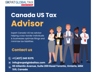canada-us-tax-advisor-expert-cross-border-tax-solutions-small-0