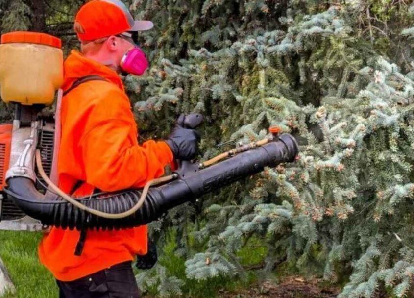 leading-pest-control-company-in-saskatoon-call-today-big-0