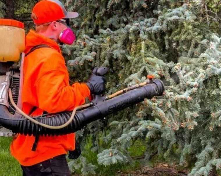 leading-pest-control-company-in-saskatoon-call-today