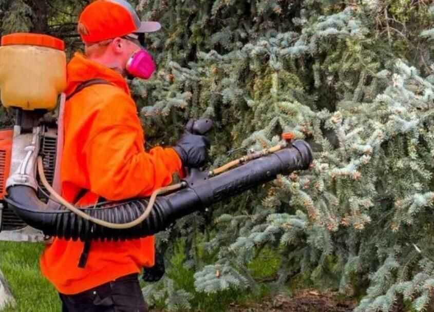 leading-pest-control-company-in-saskatoon-call-today-big-0