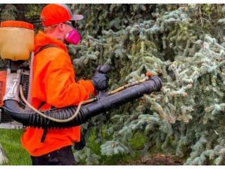 leading-pest-control-company-in-saskatoon-call-today-small-0