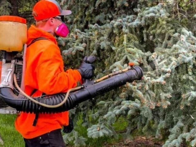 leading-pest-control-company-in-saskatoon-call-today