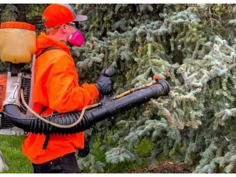 leading-pest-control-company-in-saskatoon-call-today-small-0