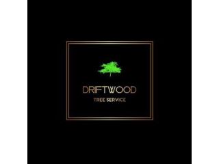 driftwood-tree-service-small-0