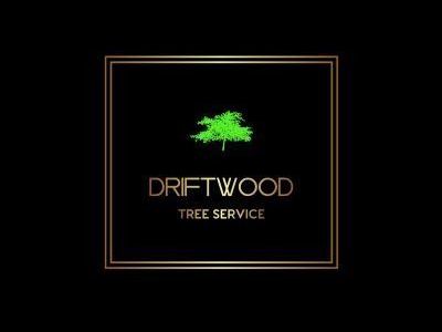 driftwood-tree-service