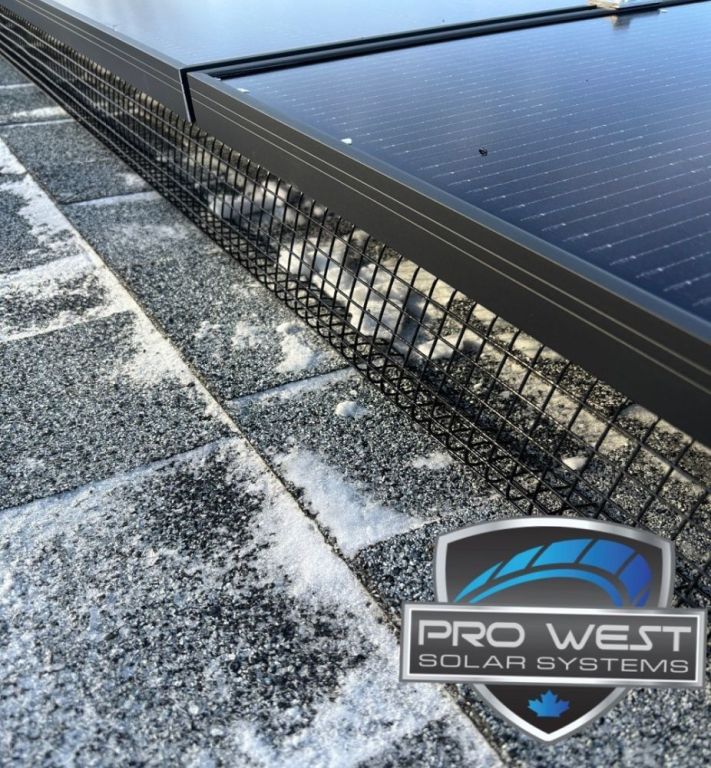affordable-solar-panel-installation-in-edmonton-big-0