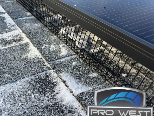 affordable-solar-panel-installation-in-edmonton