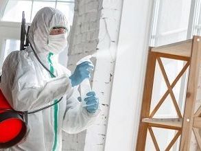 the-ultimate-guide-to-professional-pest-control-in-surrey