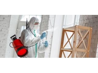 trusted-abbotsford-pest-control-services-for-a-pest-free-home-small-0