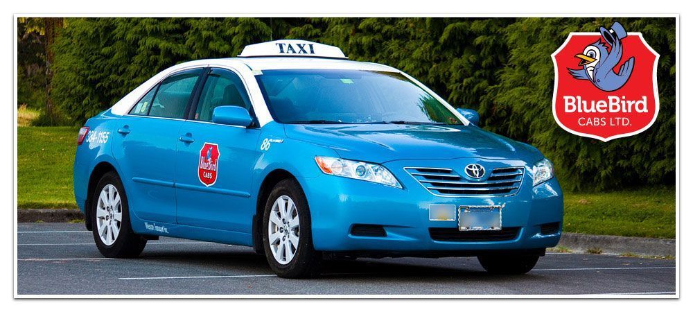 bluebird-cabs-ltd-big-2