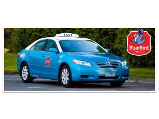 bluebird-cabs-ltd-small-2