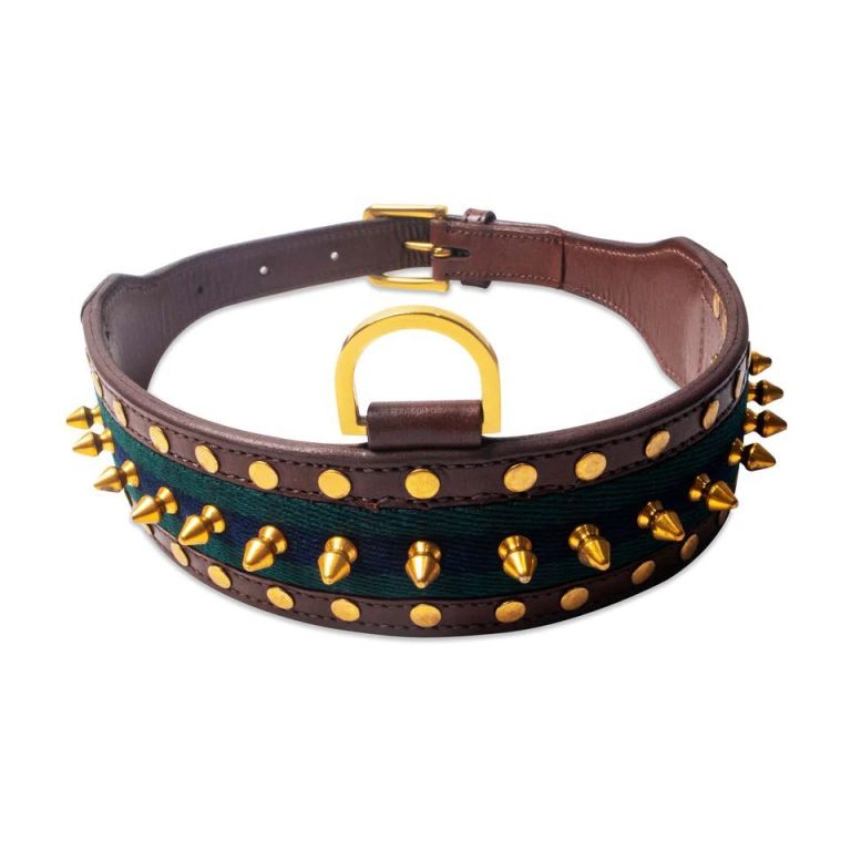 premium-dog-collars-comfort-style-and-durability-combined-big-0
