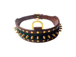premium-dog-collars-comfort-style-and-durability-combined-small-0