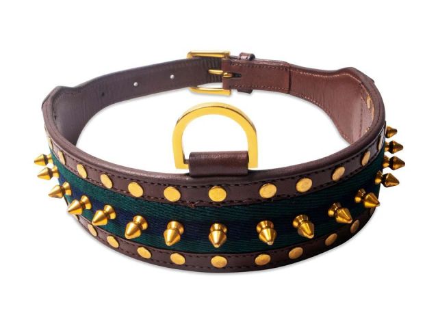 premium-dog-collars-comfort-style-and-durability-combined