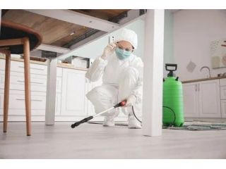 pest-control-bruderheim-small-0