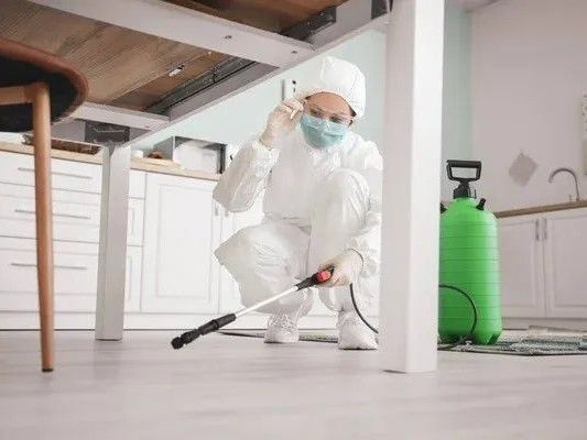 pest-control-bruderheim