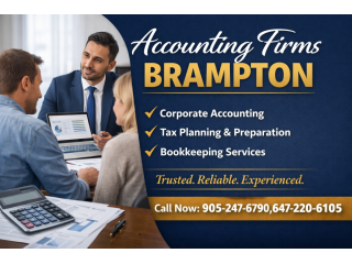 get-professional-help-from-accounting-firms-in-brampton-today-small-0