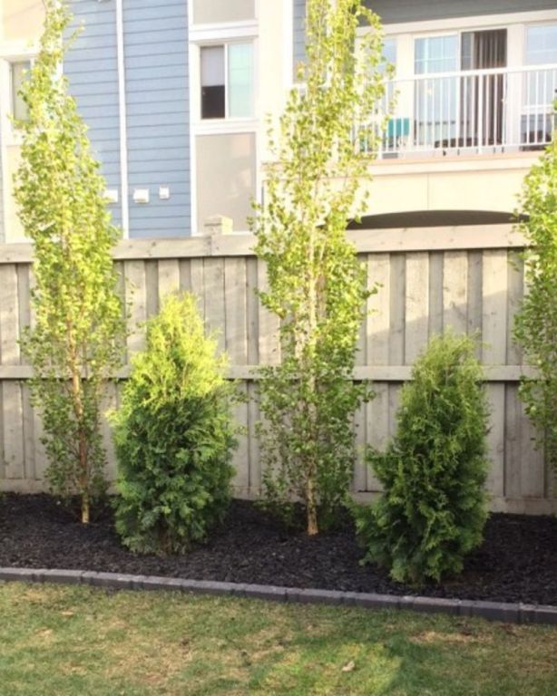 custom-built-deck-and-fence-big-0