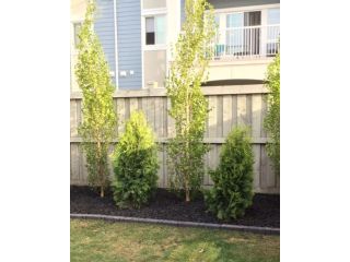 custom-built-deck-and-fence-small-0