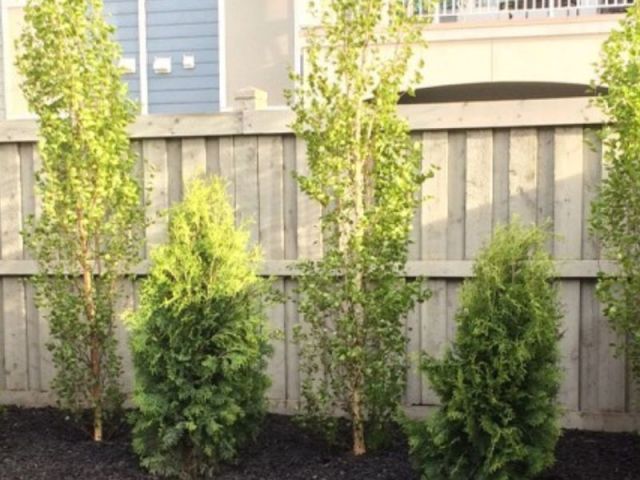 custom-built-deck-and-fence