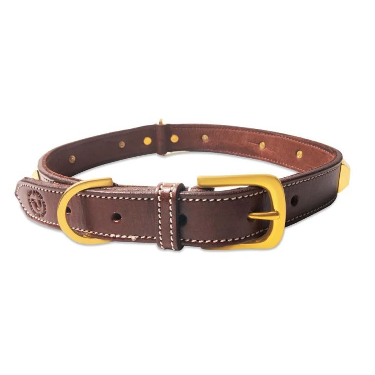 why-luxury-leather-collars-for-dogs-are-worth-it-big-0