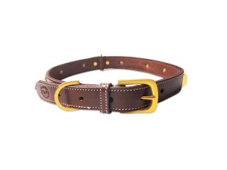 why-luxury-leather-collars-for-dogs-are-worth-it-small-0