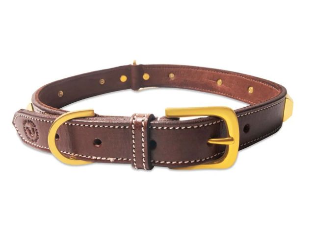 why-luxury-leather-collars-for-dogs-are-worth-it