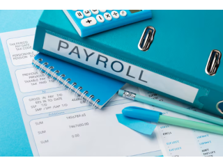 simplify-payroll-with-expert-payroll-processing-services-small-0