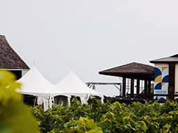 what-is-the-best-time-of-year-to-visit-niagara-wine-country