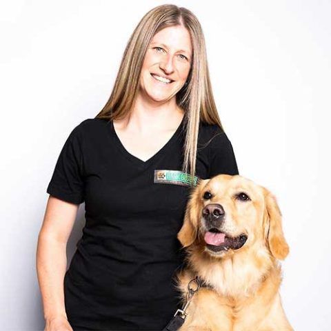transform-your-dog-with-expert-puppy-training-big-0