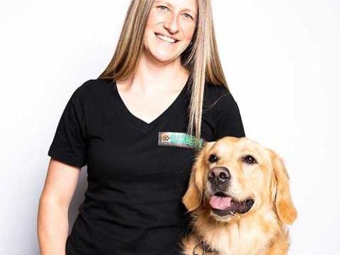 transform-your-dog-with-expert-puppy-training