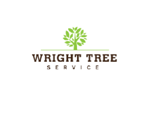 wright-tree-service-small-0