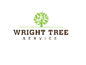 wright-tree-service