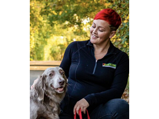 effective-dog-obedience-training-with-bark-busters-hamilton-small-0