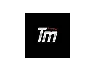 tabangi-motors-kitchener-small-0