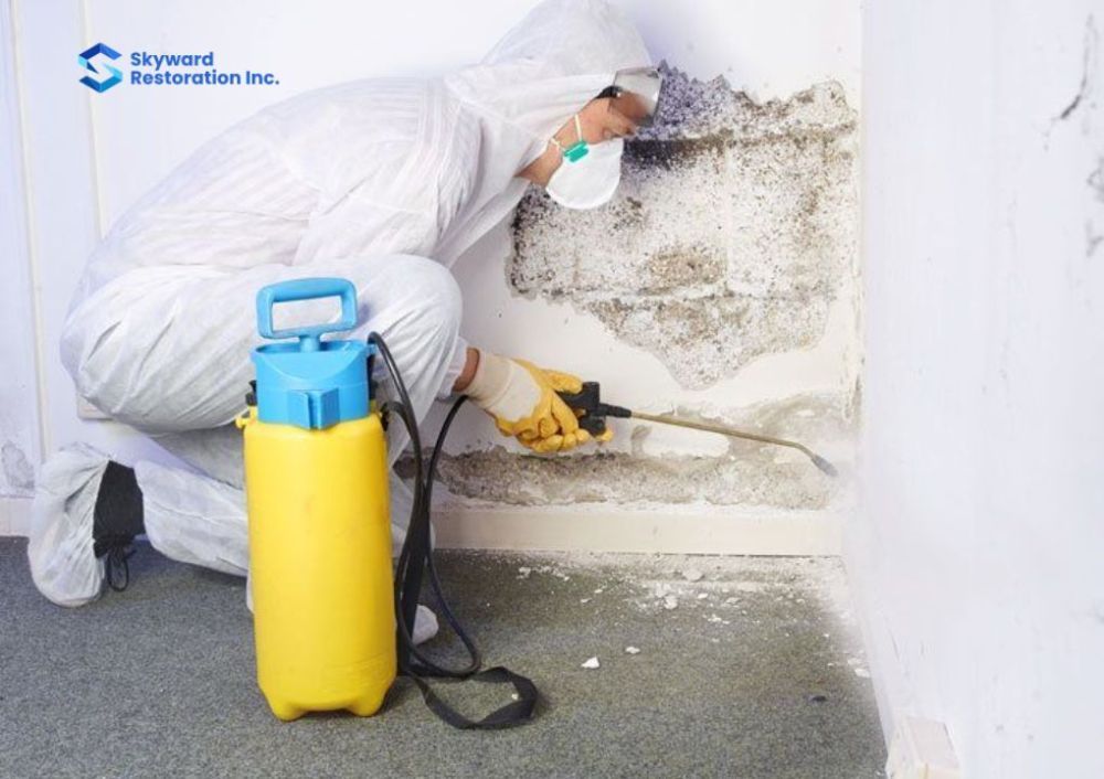 mould-removal-in-saskatoon-protect-your-home-health-big-0